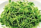 豆苗炒め