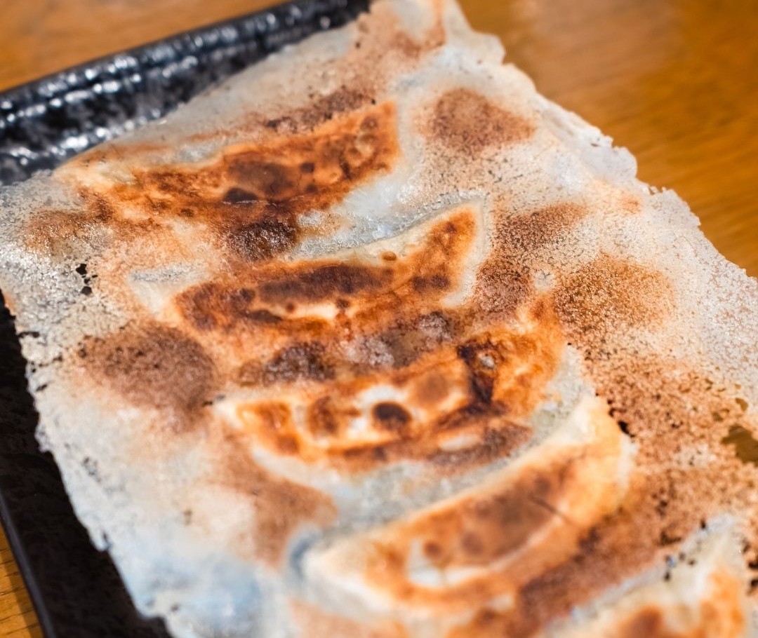 皿に並んだ羽根つき餃子の寄り。きつね色の羽根